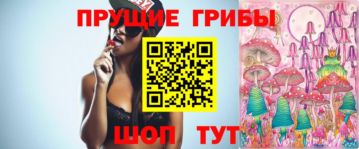 Галлюциногенные грибы Psilocybine cubensis Мичуринск