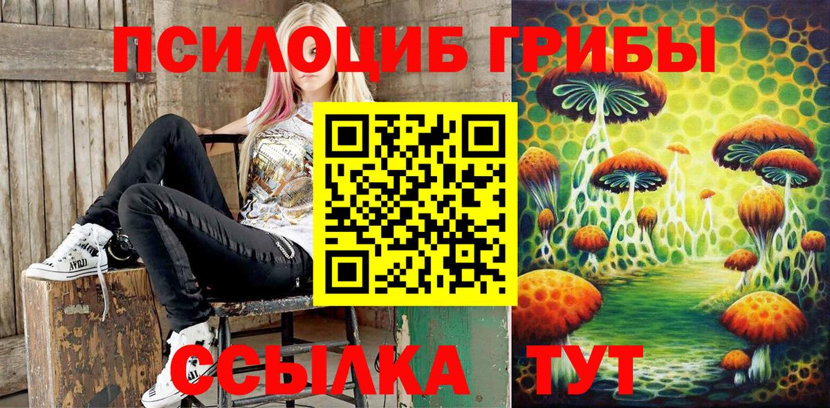 Мичуринск  Галлюциногенные грибы ЛСД  Вход с VPN 